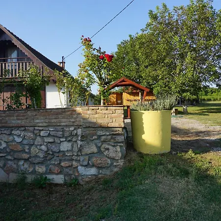 Joe Bacsi Rezidenciaja Appartement *